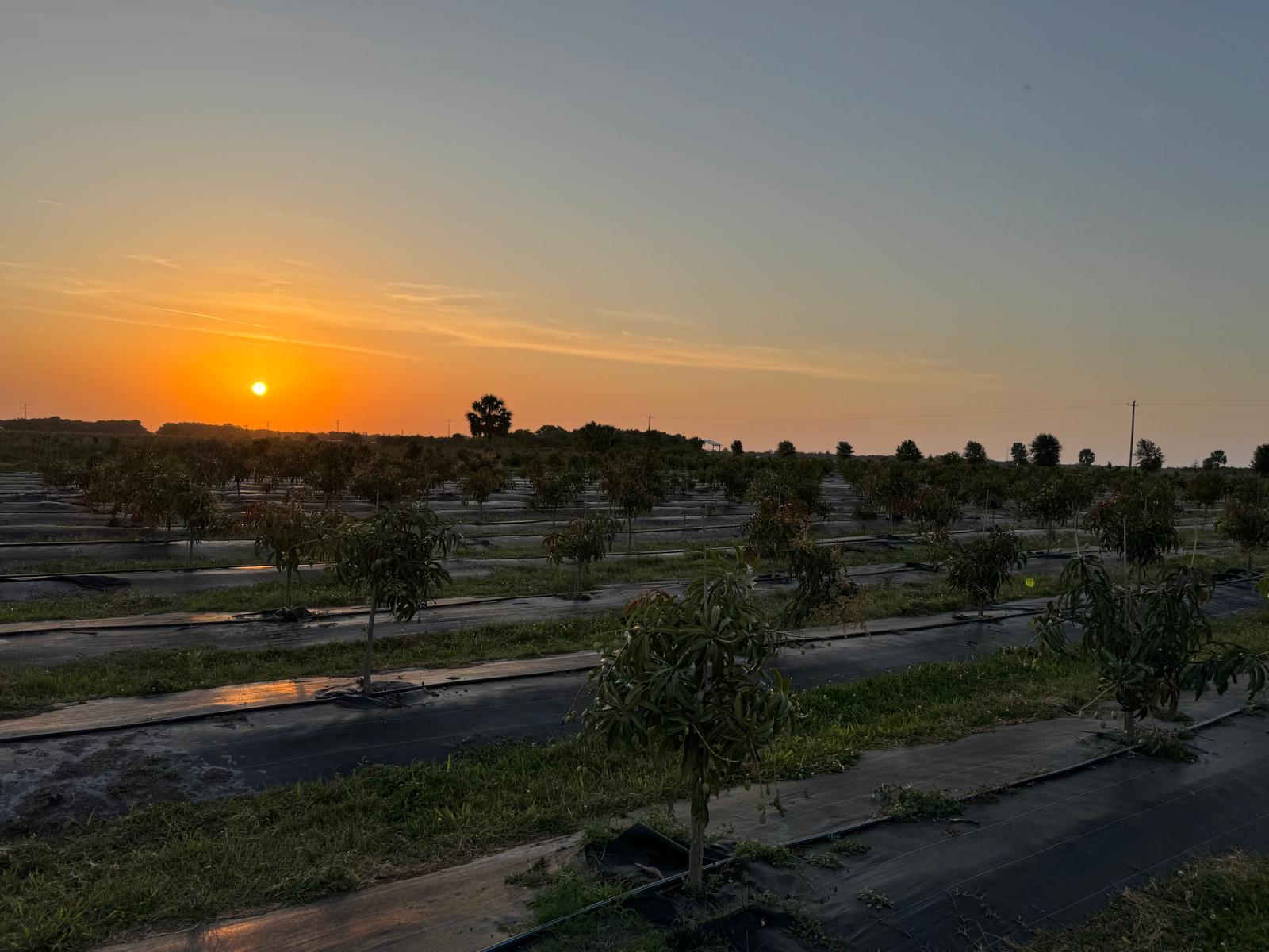 Our Farm
