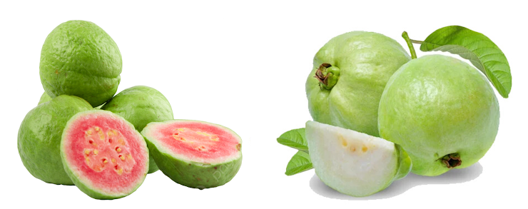 Fresh Guava